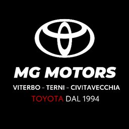 MG MOTORS SRL Logo
