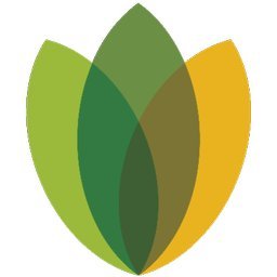 MedRehab Group Inc.