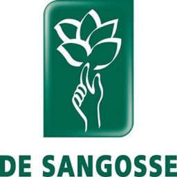 DE SANGOSSE - Logo
