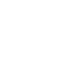 Vali Cooper International logo