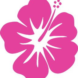 Ohana Care Maui