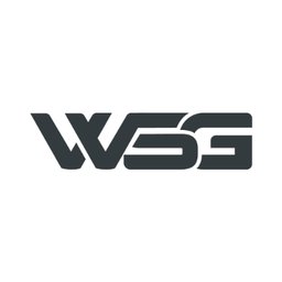 WSG Wachdienste Schmelter GmbH Logo