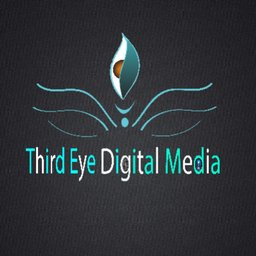 Third Eye Web Solutions logo