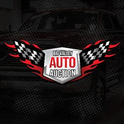 BIG VALLEY AUTO AUCTION