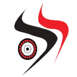 Silver Space Electromechanical Works LLC logo