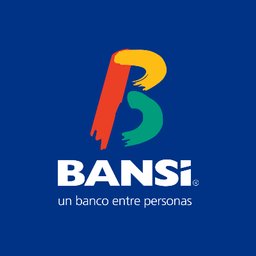 BANSI logo