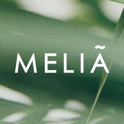 Meliá Puerto Vallarta