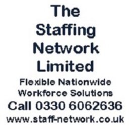 The Staffing Network logo