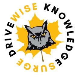 DriveWise