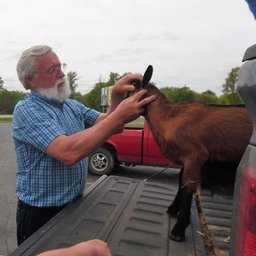 Airport Veterinary Clinic