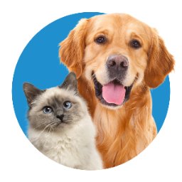 Innovetive Petcare logo