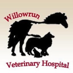 Willow Run Veterinary Clinic