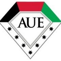 American University in the Emirates logo