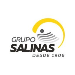 Grupo Salinas S.A. de C.V.