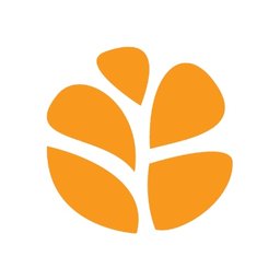 Safe Horizon logo