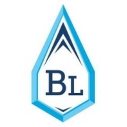 companyLogo