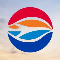 Tampa International Airport logo