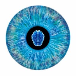 NeurOptics logo