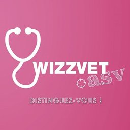wizzvet - Logo