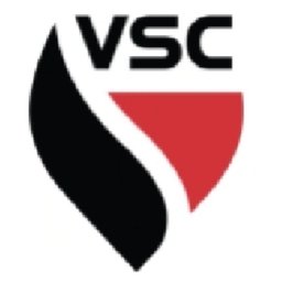 VSC Fire & Security, Inc. logo