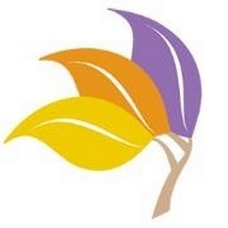 TRANSITIONAL SERVICES INC