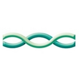IntraHealth logo