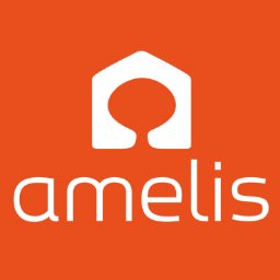 Amelis Services