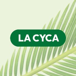 La Cyca
