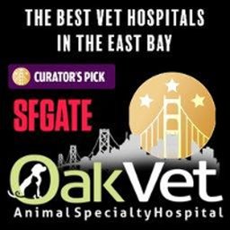 OakVet Animal Specialty Hospital