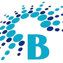 BlueSun Technologies logo