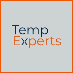 Temp Experts logo
