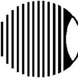 East Florida Eye Institute logo