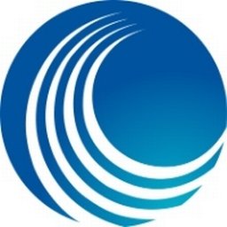 PREMIER INTERNATIONAL logo