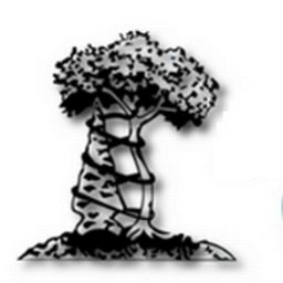 Arrowhead Orthopaedics