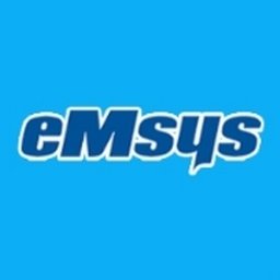 eMsys Solutions logo