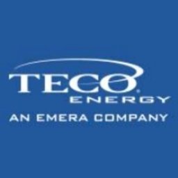 Tampa Electric Company