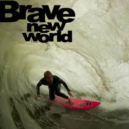 Brave new world point deals pleasant beach