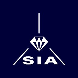 S.I.A. Srl logo