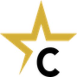 CITADEL SECURITY USA logo