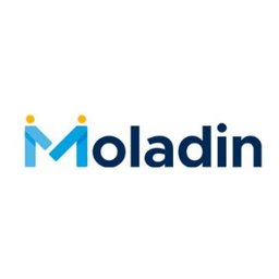 jobs in Moladin