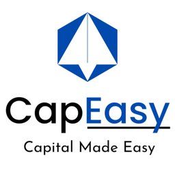 CapEasy Consulting Private Limited logo
