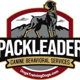 Canine Behavioral Services Inc.