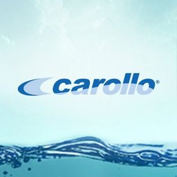 companyLogo