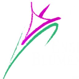 Ensinger Blumenhandel GmbH