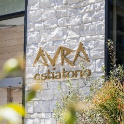 The Avra Group logo