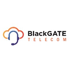 BlackGATE B.V. jobs
