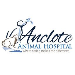 Anclote Animal Hospital