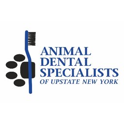 Animal Dental Specialists of Upstate New York