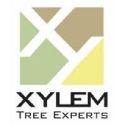 XYLEM TREE EXPERTS INC