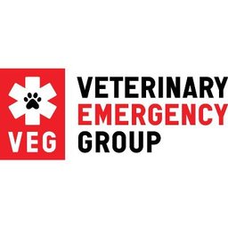 Veterinary Emergency Group (VEG)